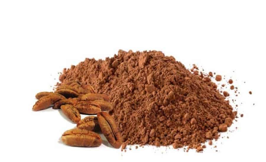 date seed powder