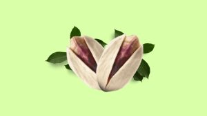 super long pistachios wholesaler