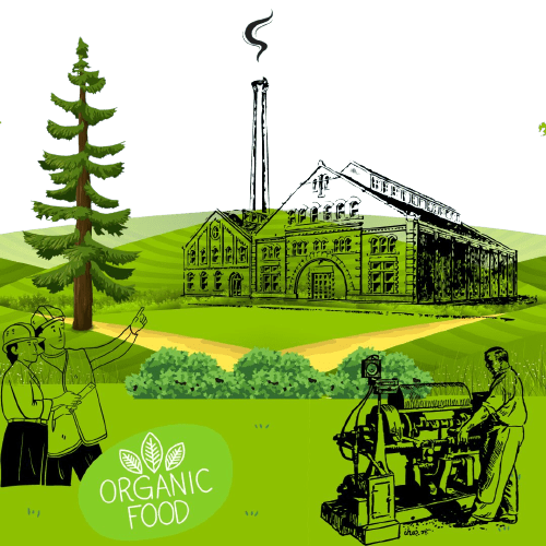 Iranian dried fruit & nuts manufacturer